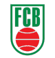 巴西FCB联赛