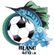 都柏林FC