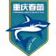 重庆春蕾