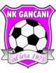 NK甘查尼